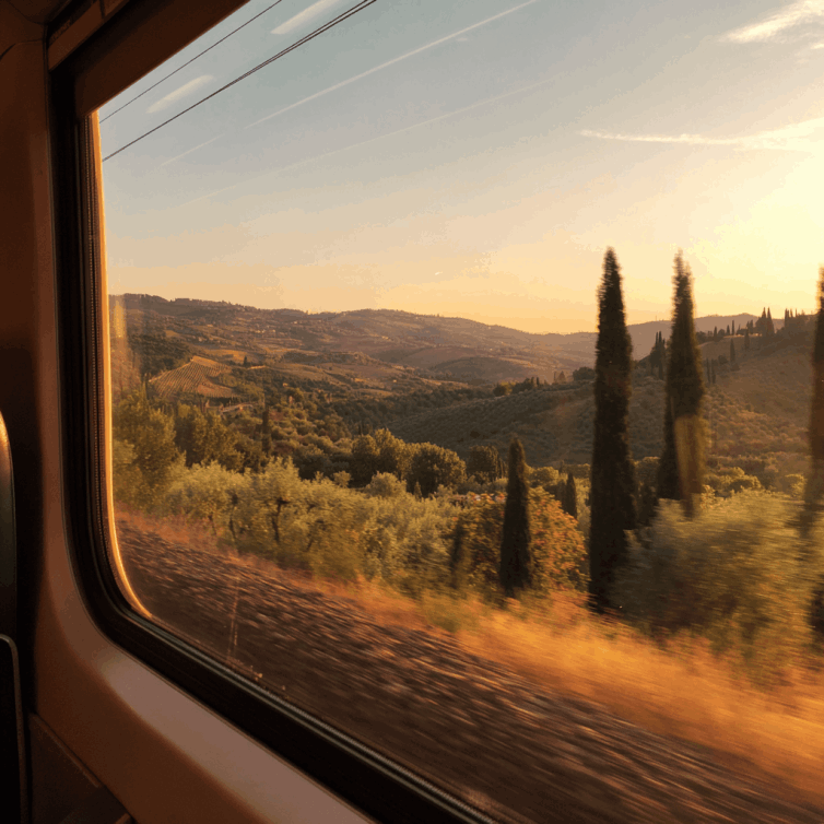 Travel